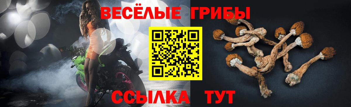 Галлюциногенные грибы GOLDEN TEACHER Балтийск